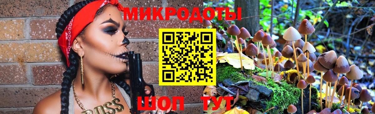 Строитель  Псилоцибиновые грибы Cubensis  Вход с VPN 